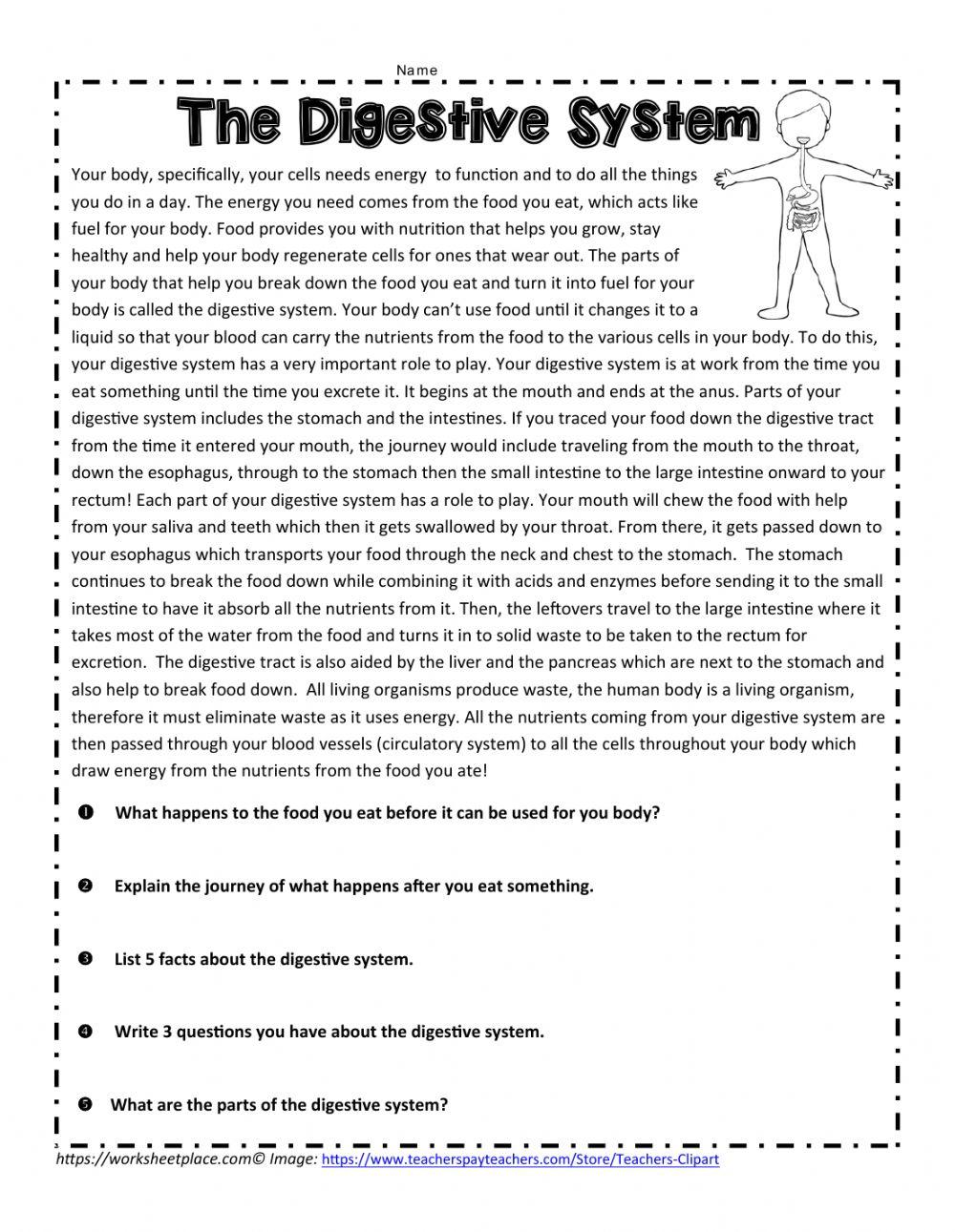 Digestive System Comprehension online exercise for Live Worksheets