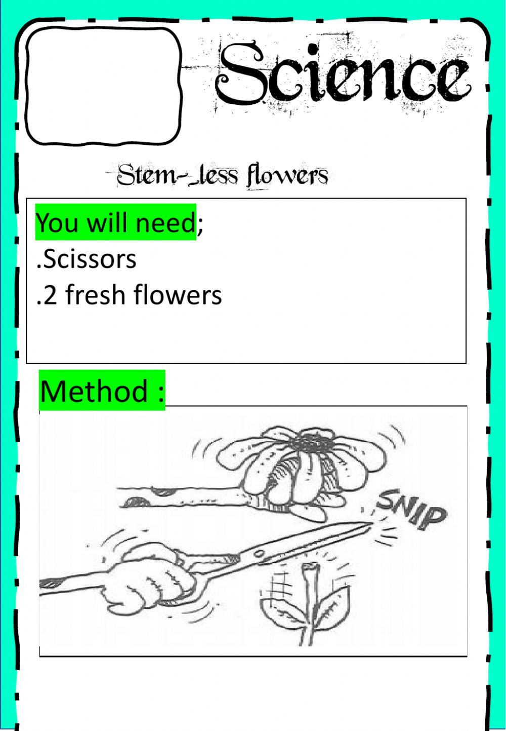 Science experiment | Live Worksheets