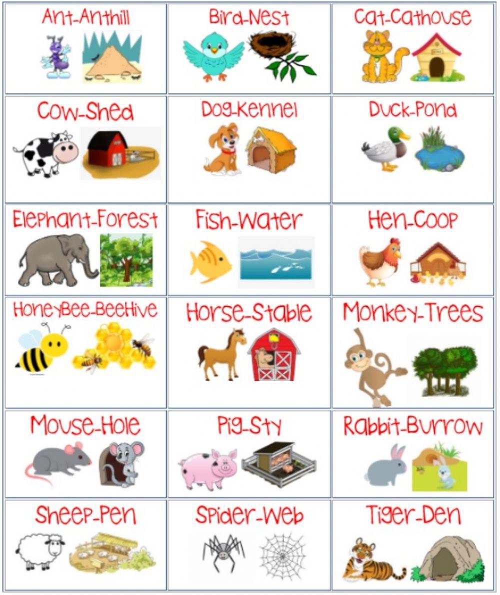 339309-animal-s-house-missdanih-liveworksheets