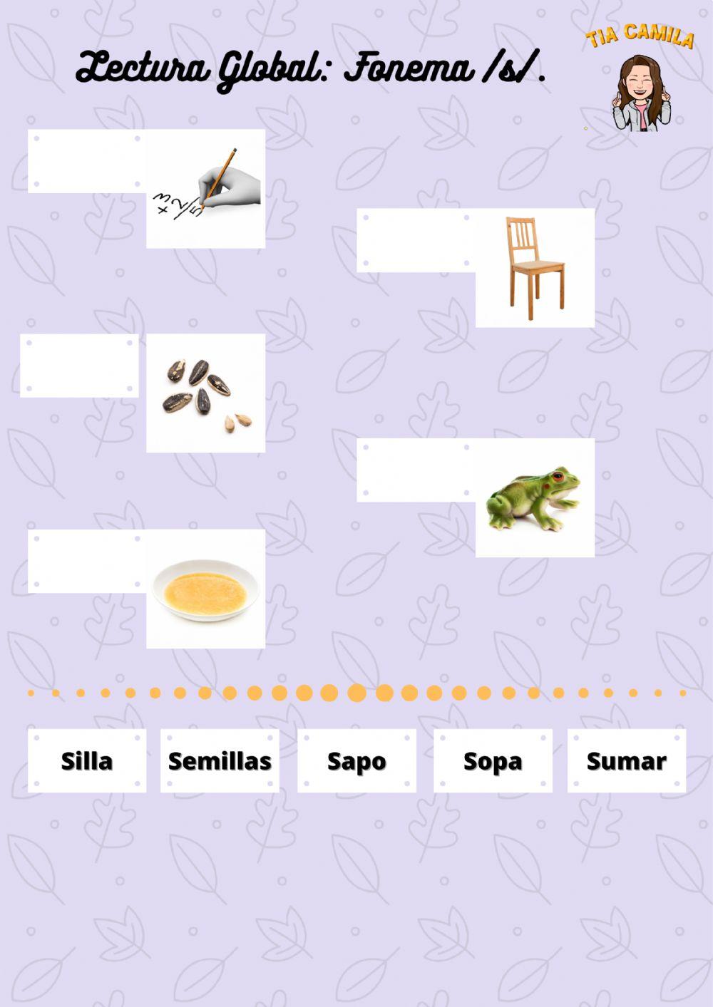 Lectura fonema S