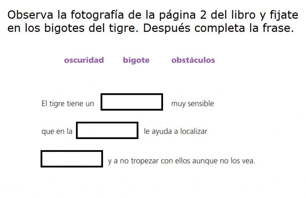 Completa las oraciones