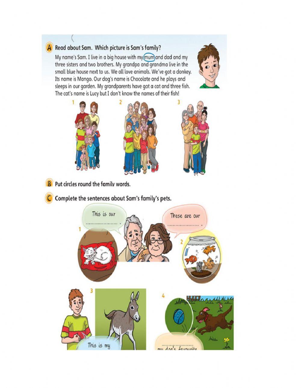 Fun for starters unit 10 online exercise for live worksheets
