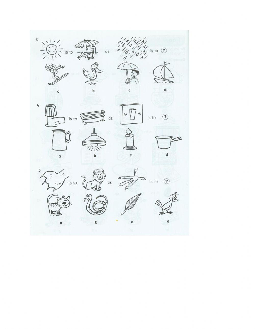 Non Verbal Reasoning