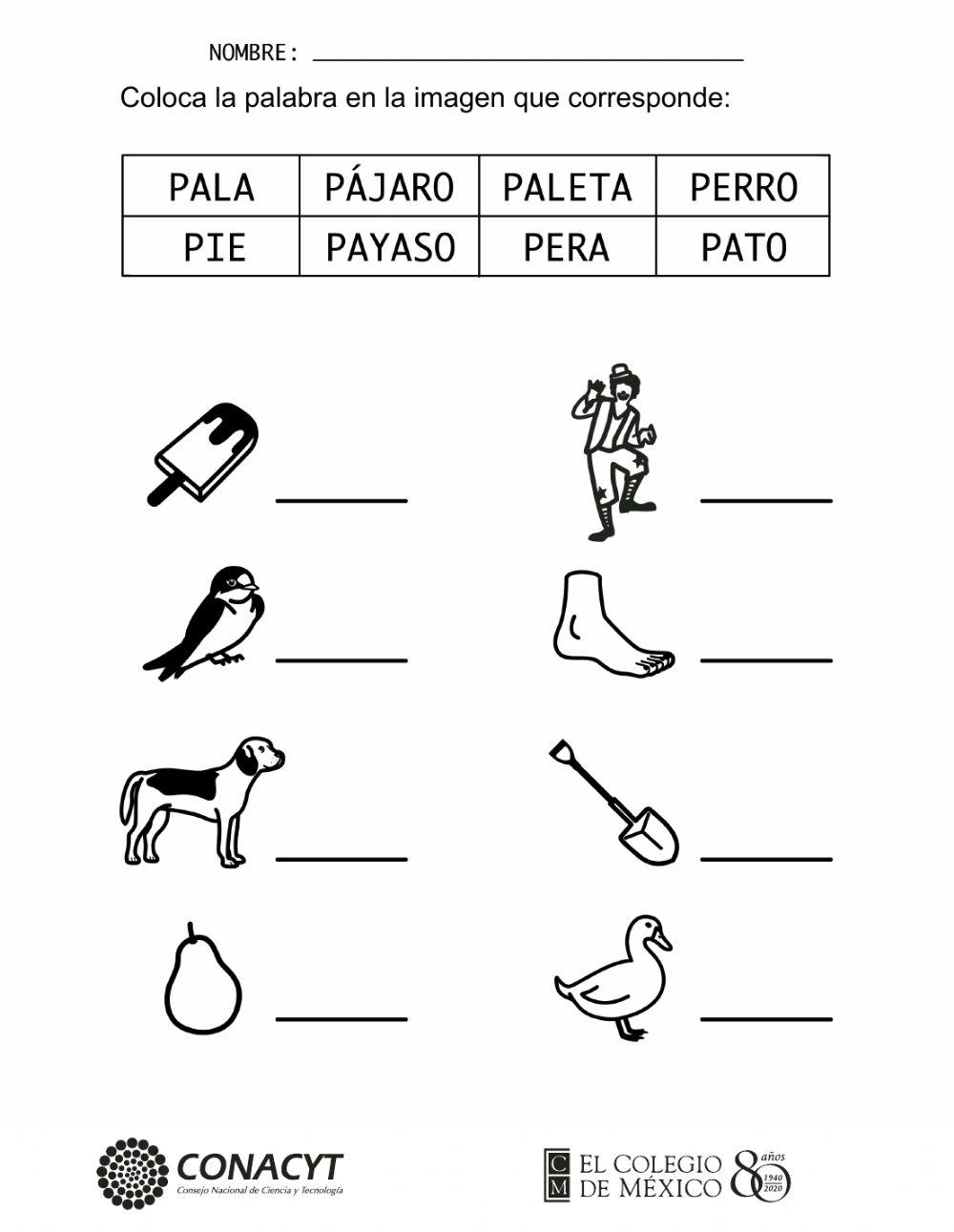 Ejercicio de escritura