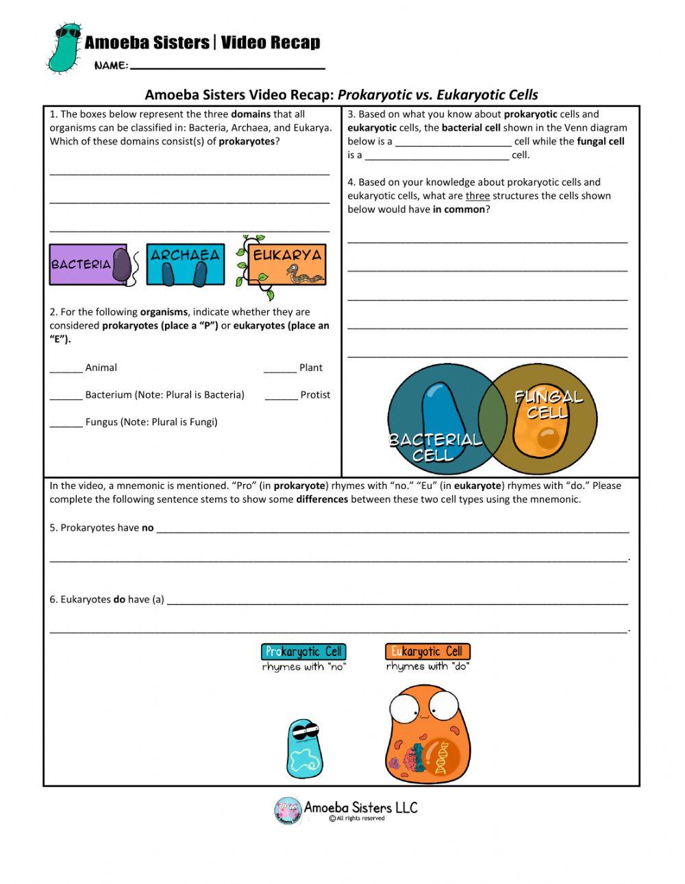 Amoeba Sisters Prokaryotic v Eukaryotic Cells Recap