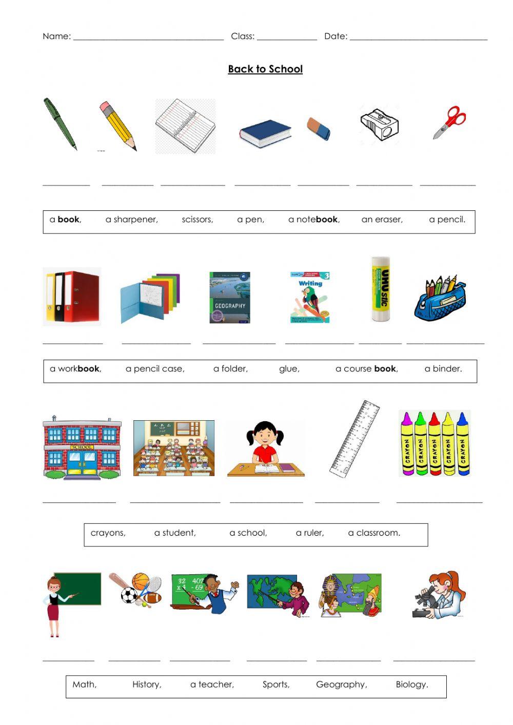 Back to School Beginners Dina Shterengas