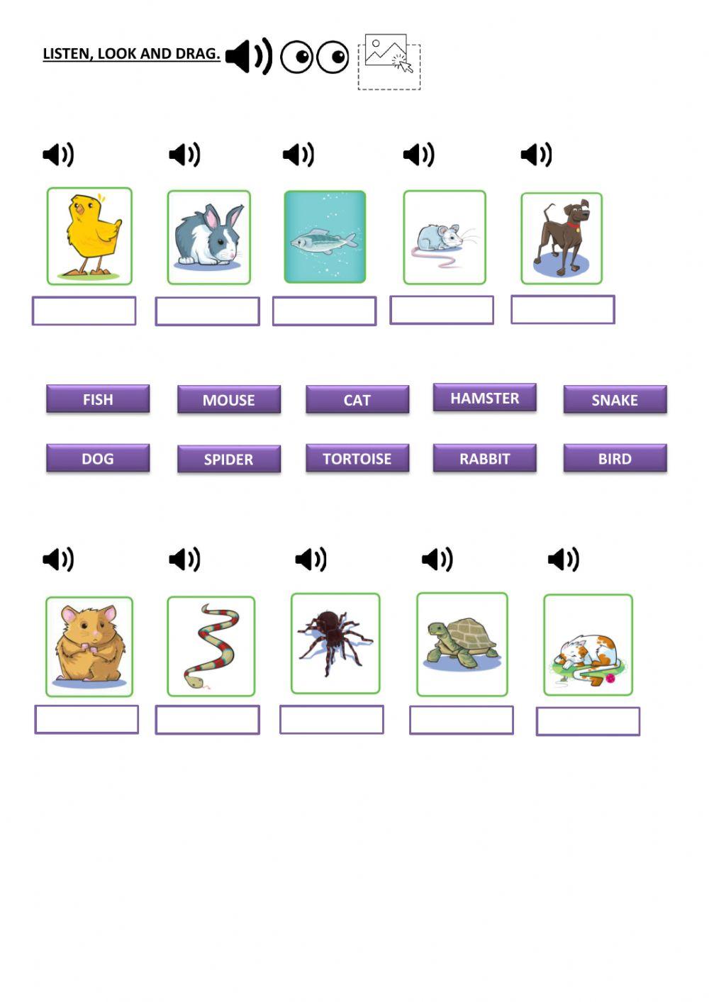 TAREA 2º inglés . Semana 31 de agosto ANIMALS