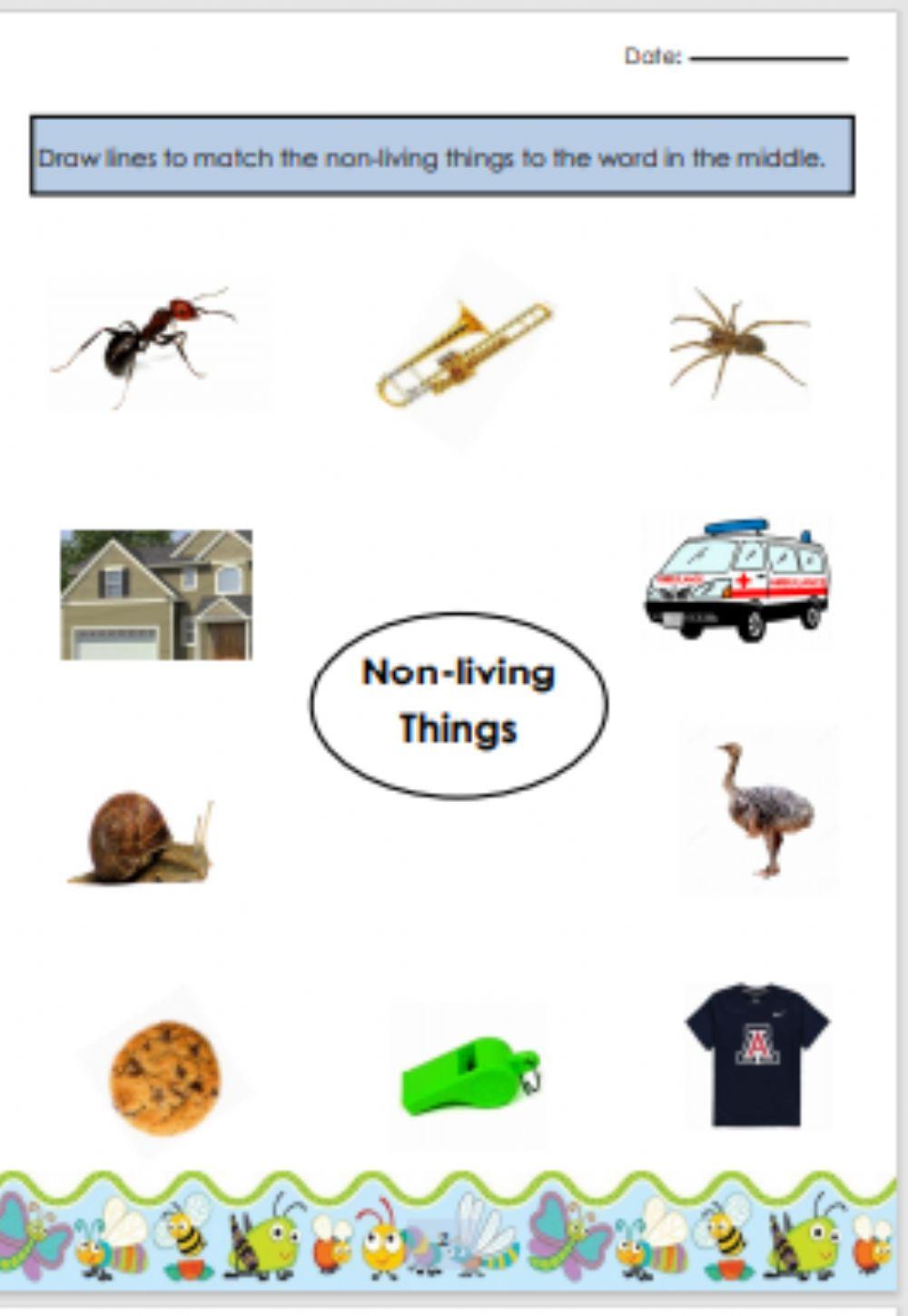 Science live worksheet pg 2