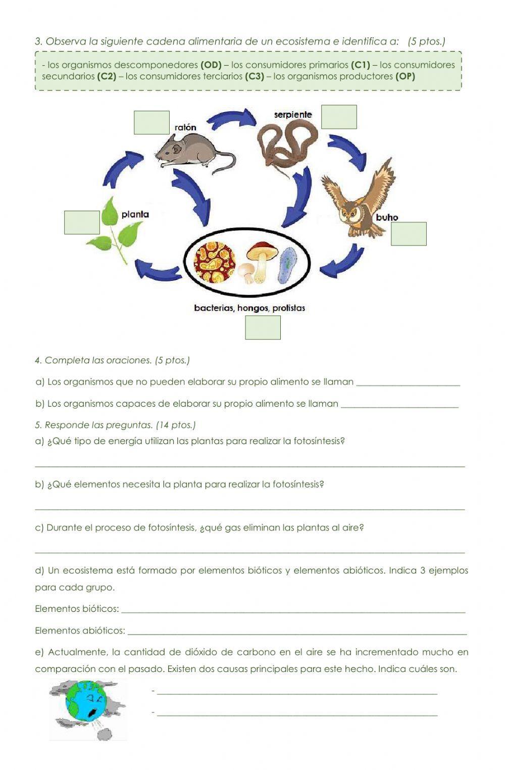 Nutrición autótrofa y heterótrofa