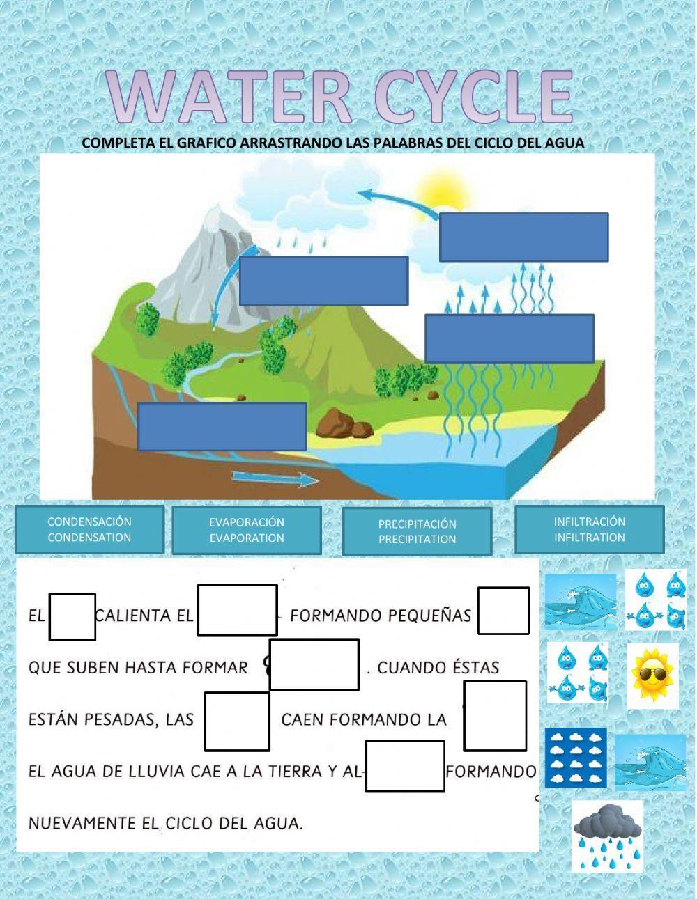 El ciclo del agua