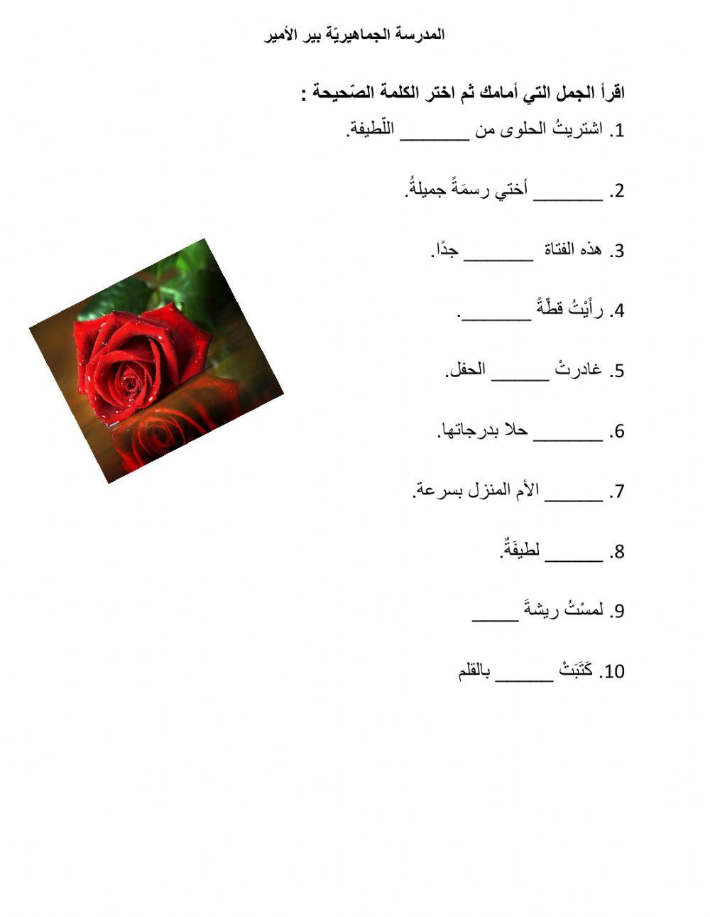 التاء المربوطة والتاء المفتوحة- أميرة بياطرة