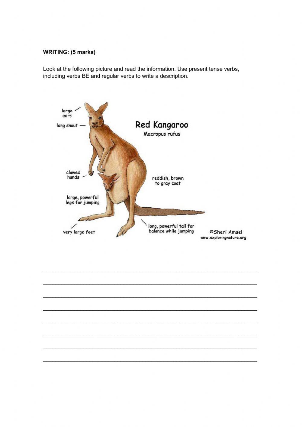 4th grade Unit 1 Lesson 1