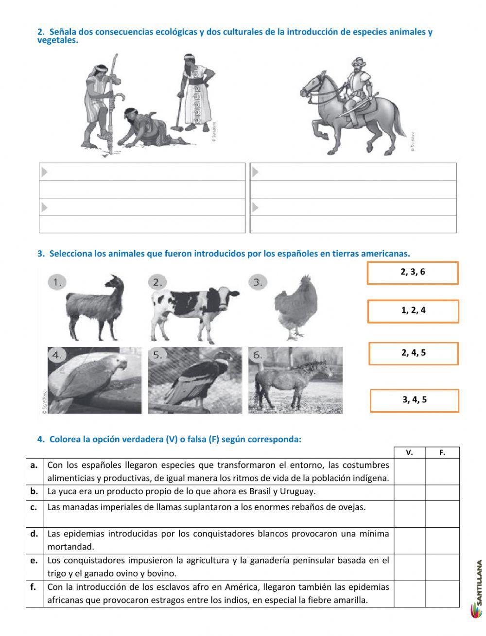 Cambios culturales en la colonia