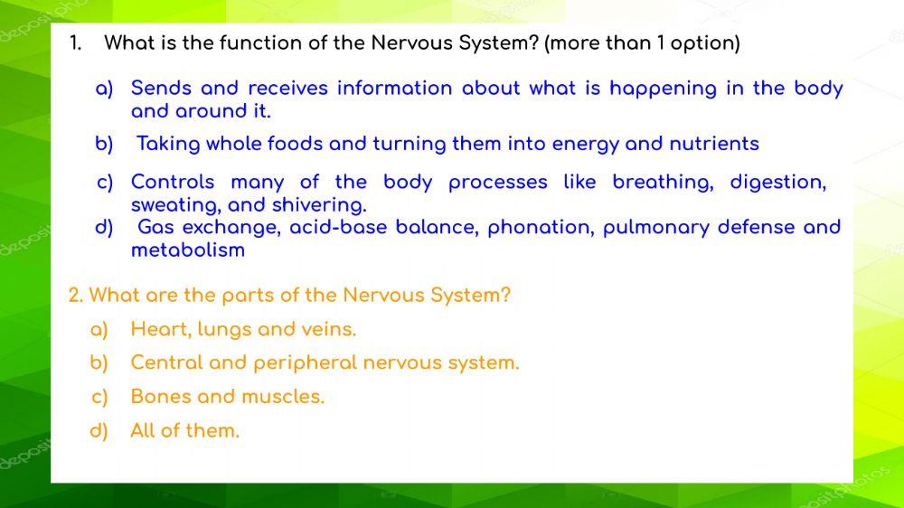 Nervous System