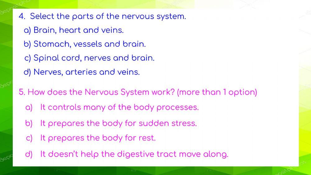 Nervous System