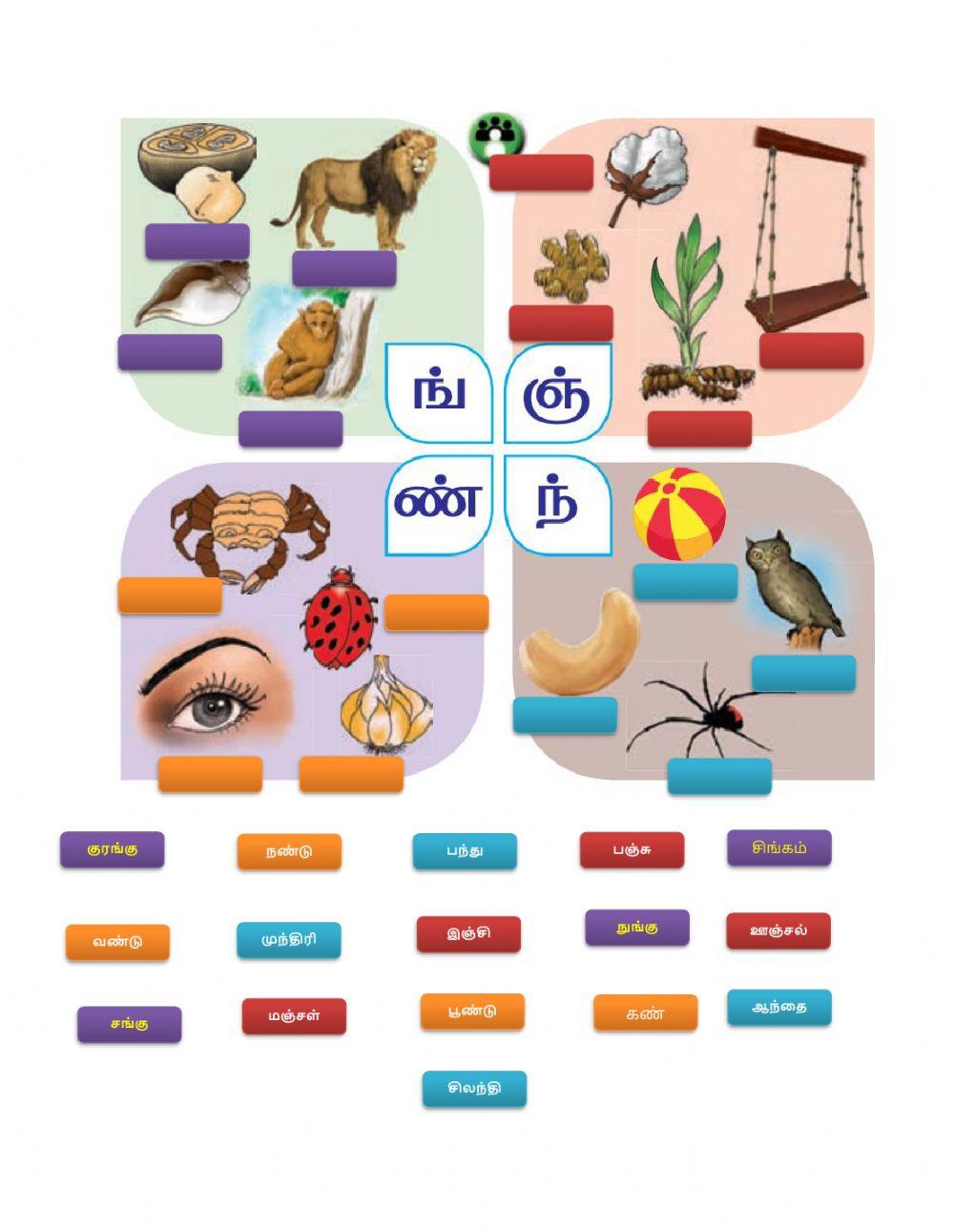 Tamil - படங்களை பார்த்து பெயர்களை பொருத்து