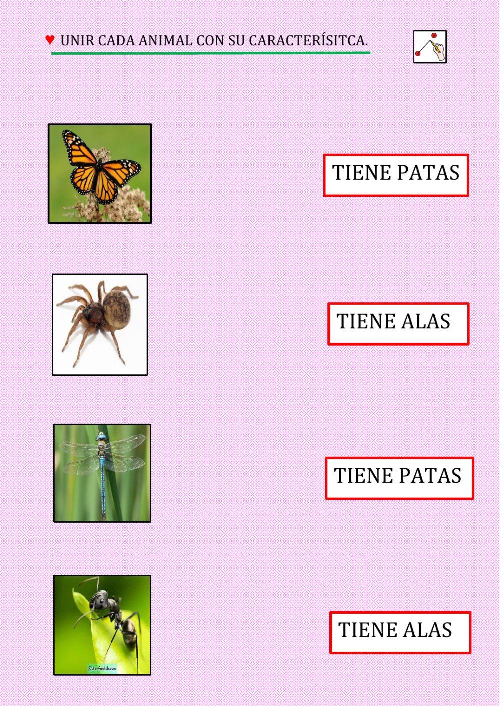 Unir cada animal con su característica