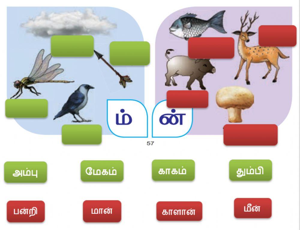 Tamil  - படங்களைப் பார்த்து பெயர்களை பொருத்துவேன்- pg no 57