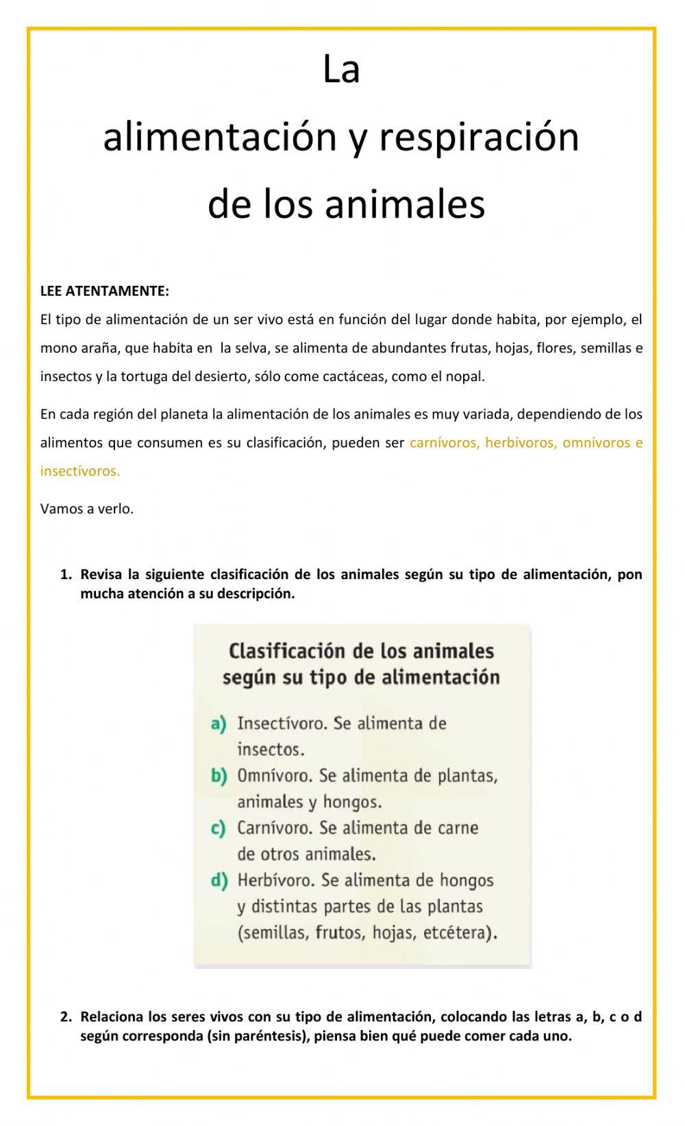 La alimentación y respiración de los animales