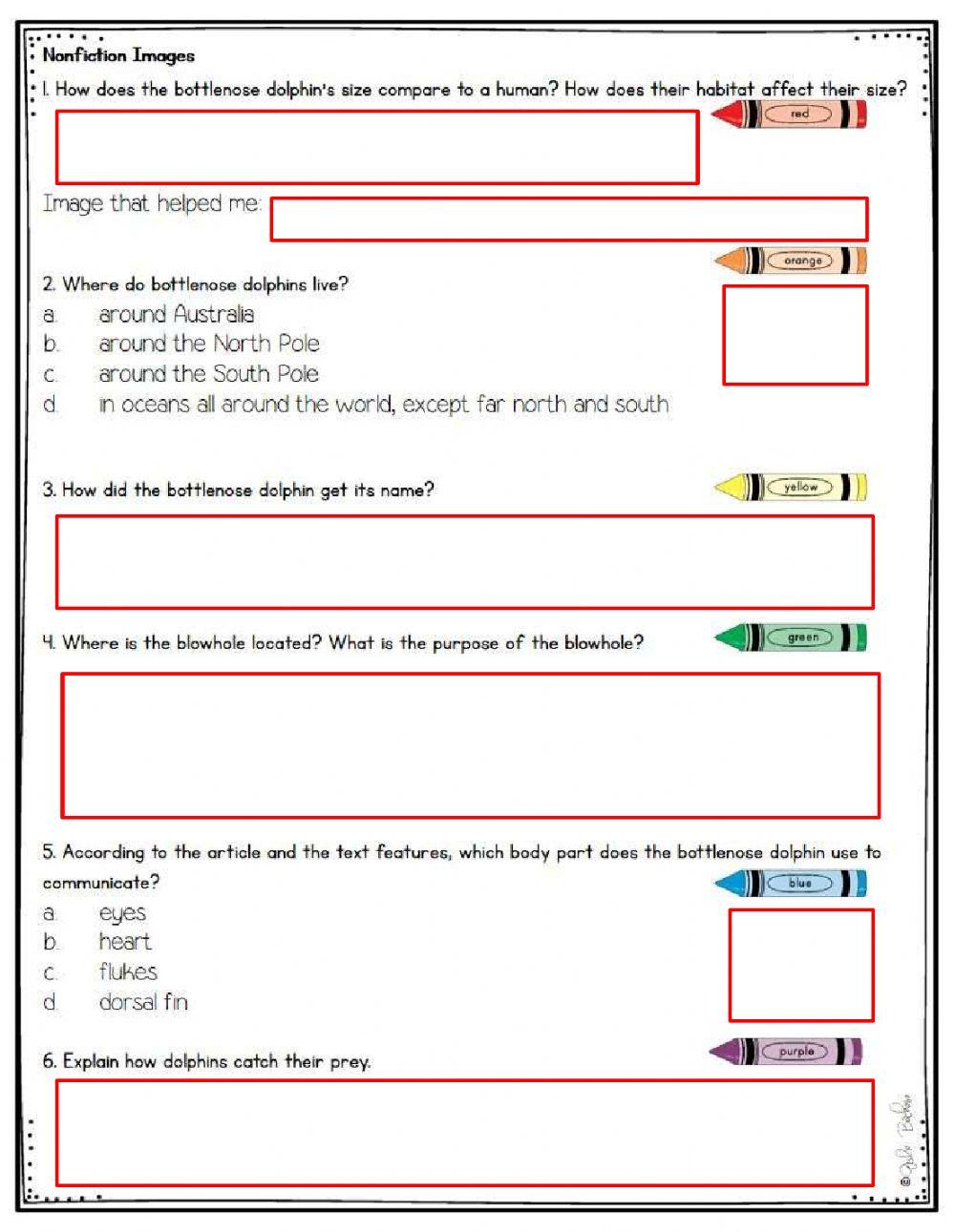 Bottle Nose Dolphins Reading Comprehension