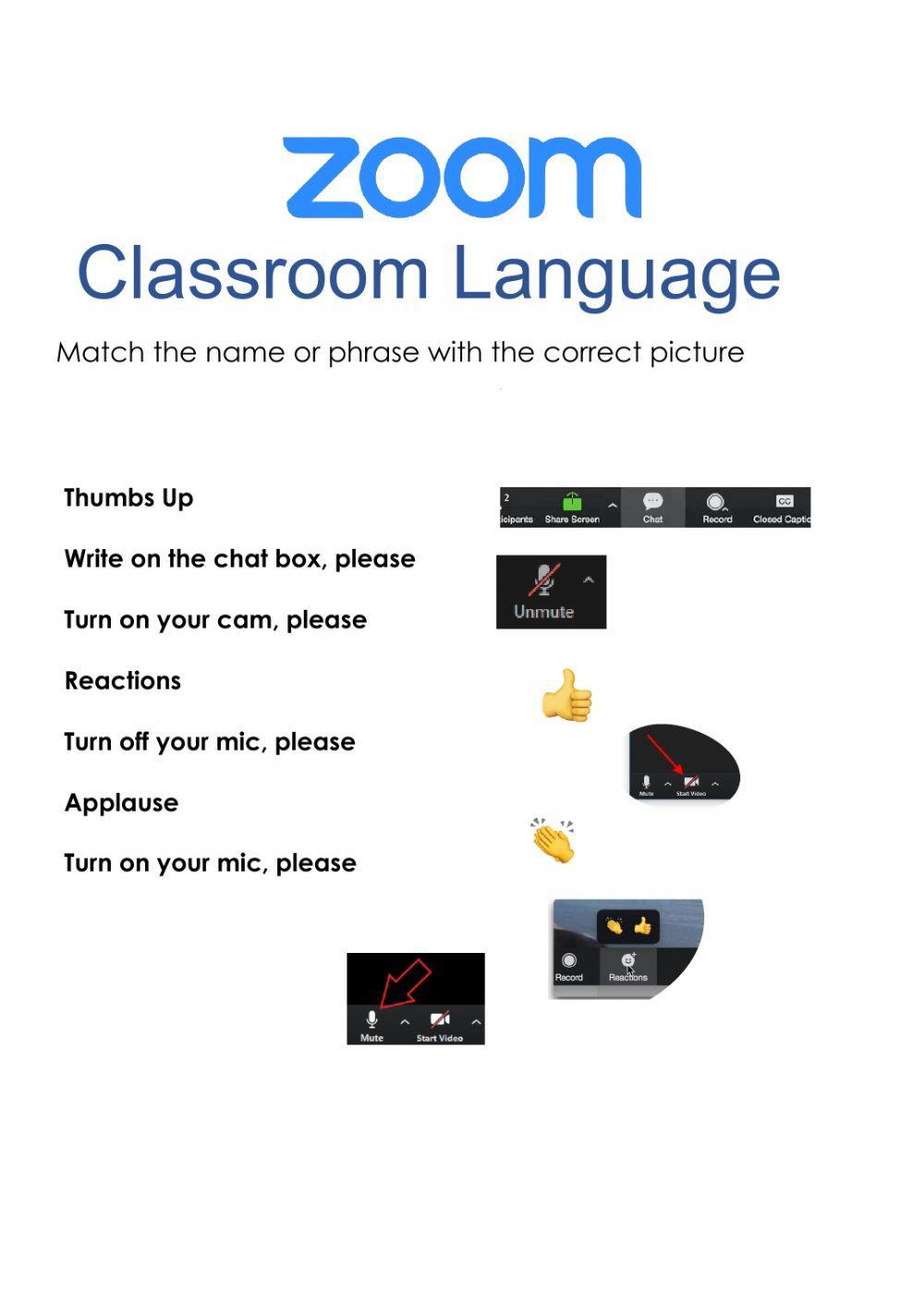 Zoom Classroom Language