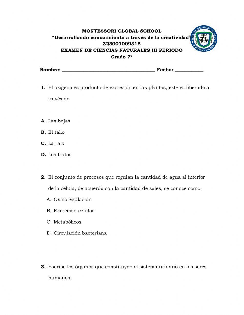 Examen 7° c. nat. iii p 2021