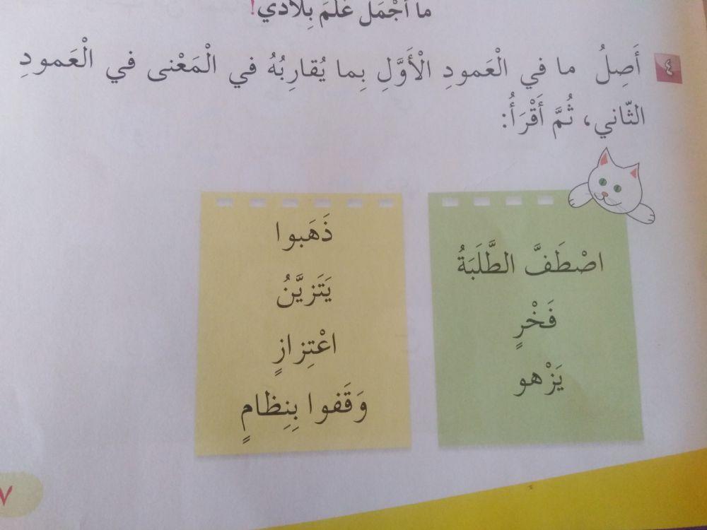 معاني درس تحية العلم