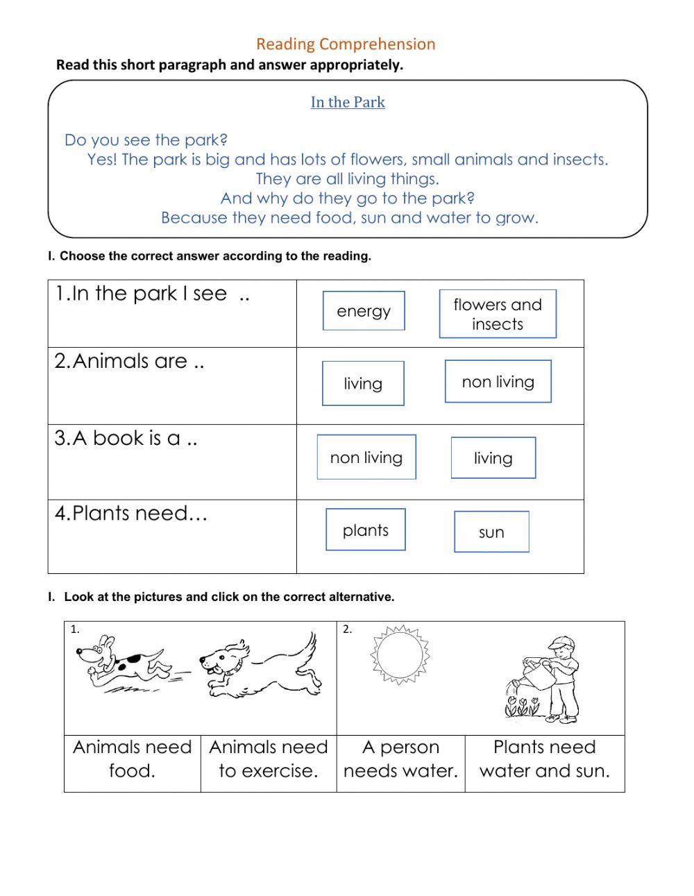 Reading Comprehension - Friday 4