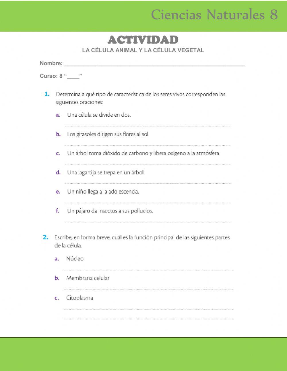 Actividad la célula animal y la célula vegetal
