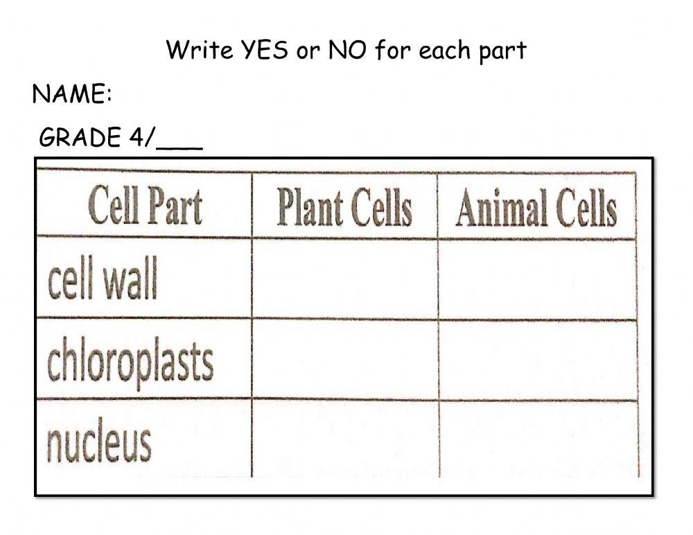 Fill in the Table - Animal Cells-Plant Cells