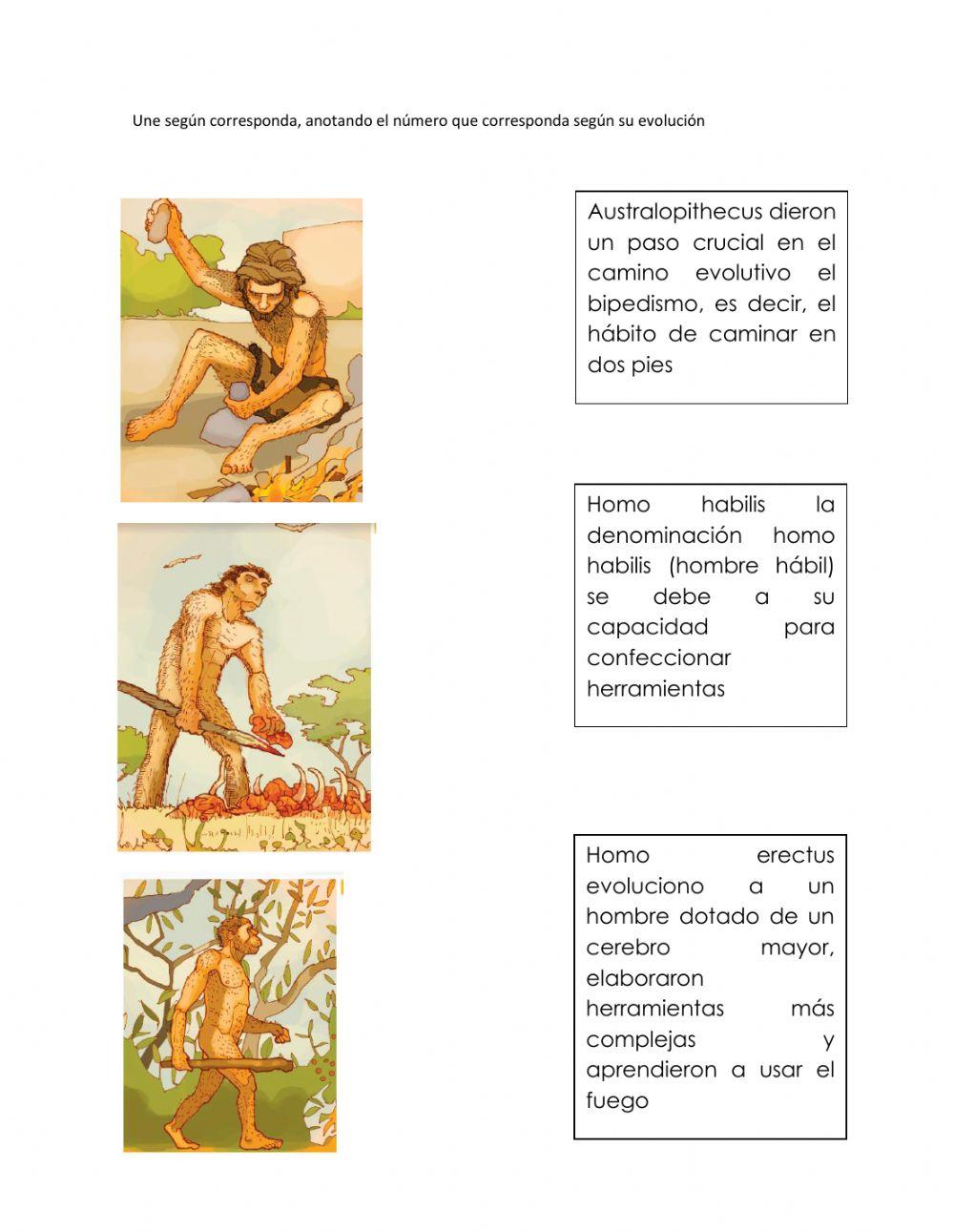 Evolución del hombre