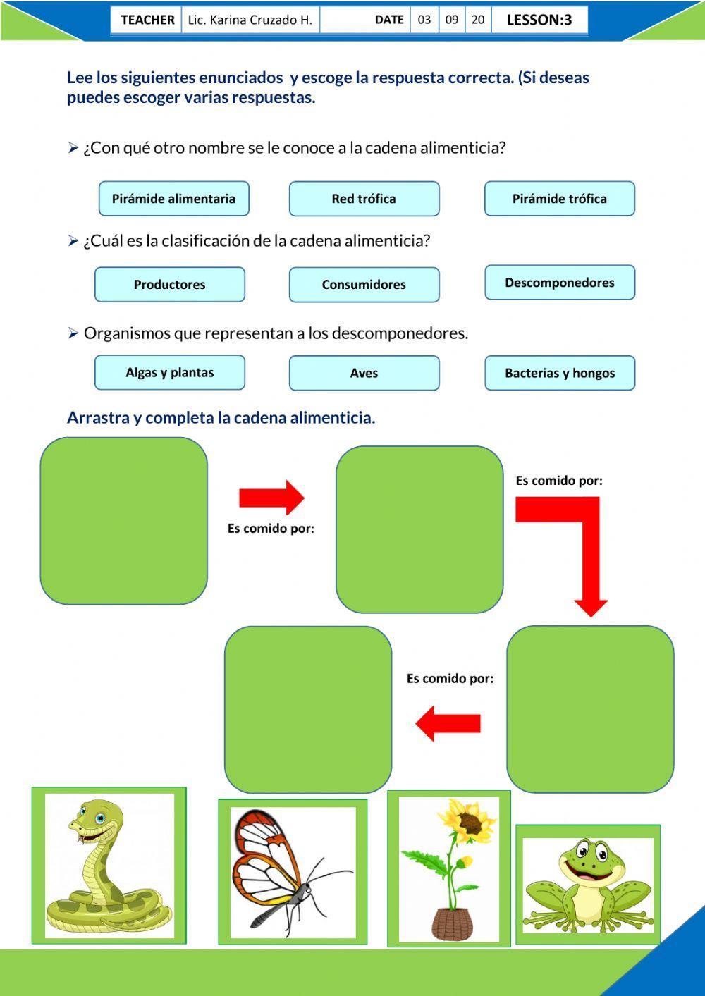 La cadena alimenticia