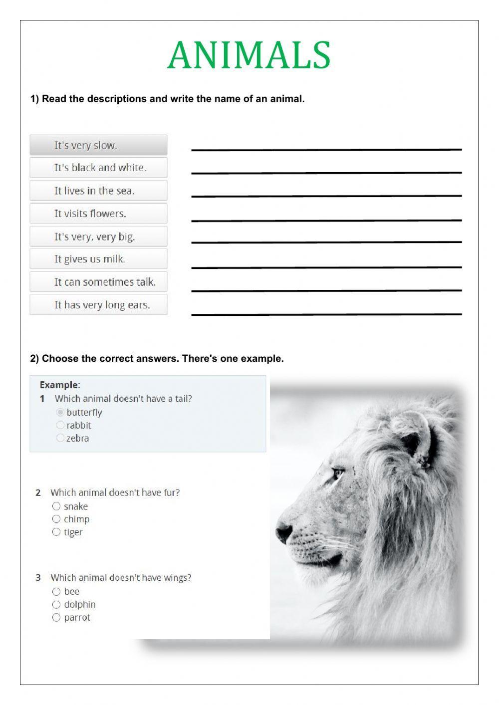 Animals - animal body parts