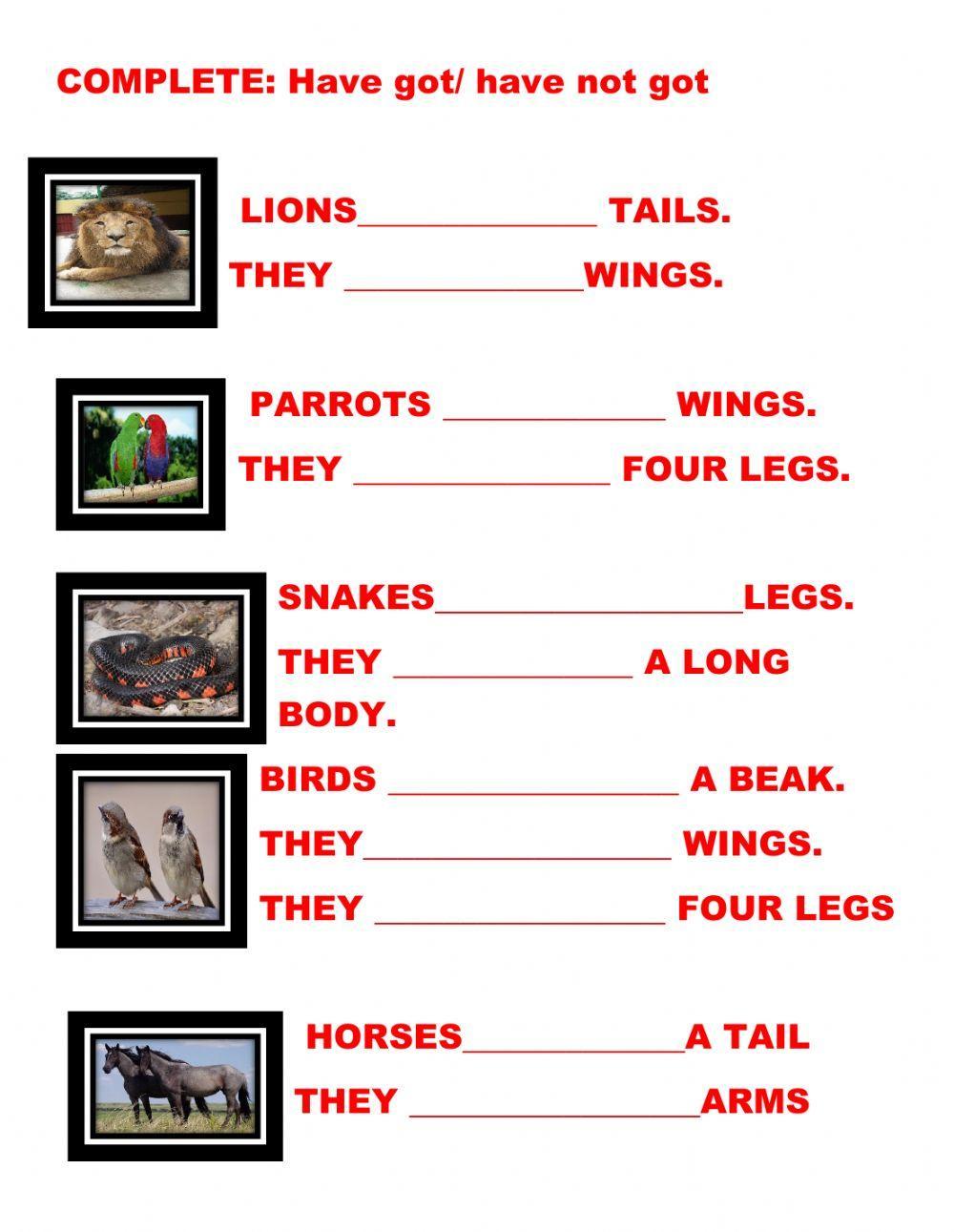 Have got - haven't got worksheet | Live Worksheets