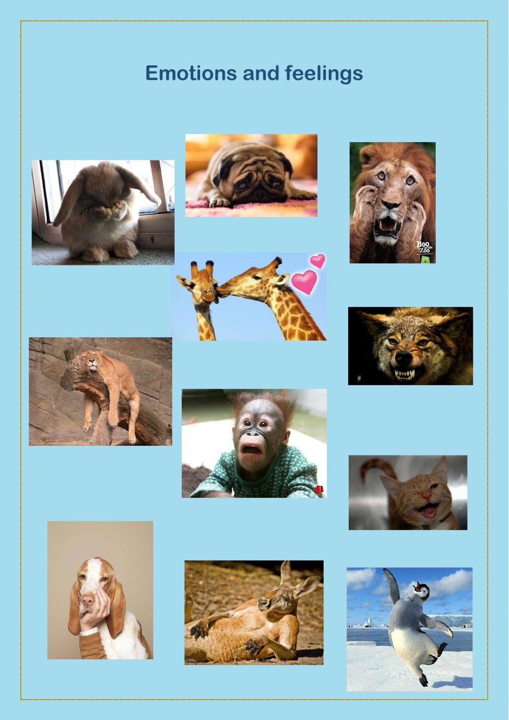 Emotions and Feelings