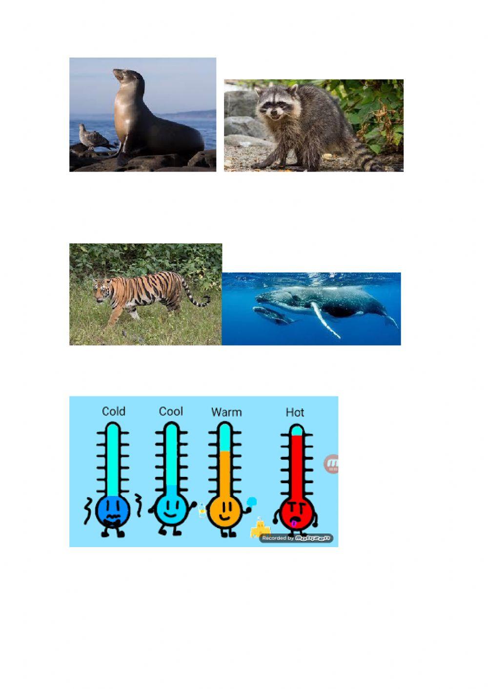 Animals and their habitats