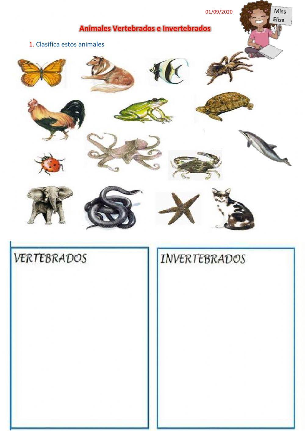 Animales vertebrados e invertebrados