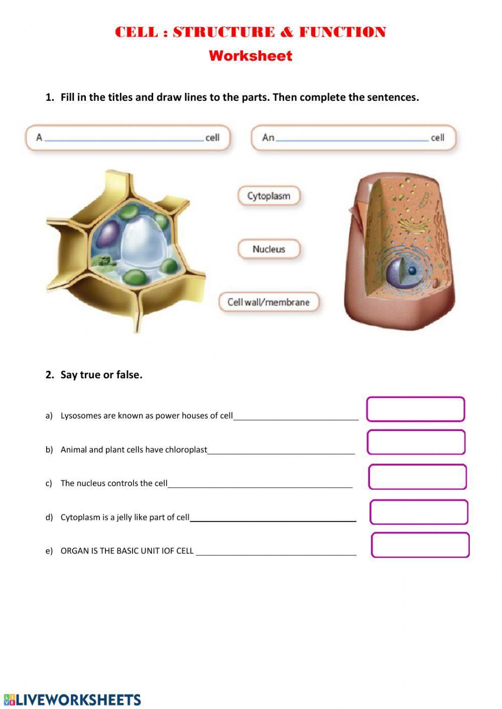 Cell: structure & function