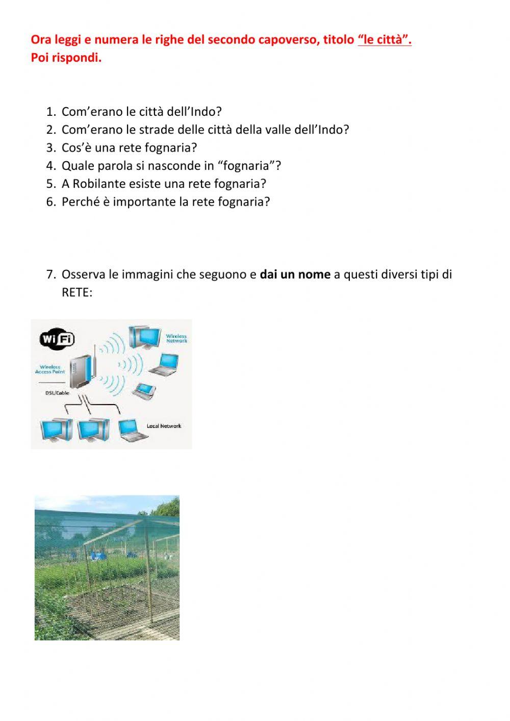 La civiltà dell'Indo