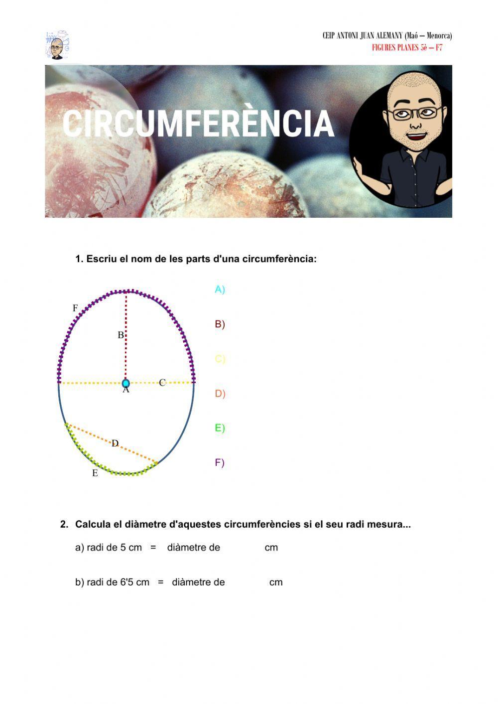 Circumferència
