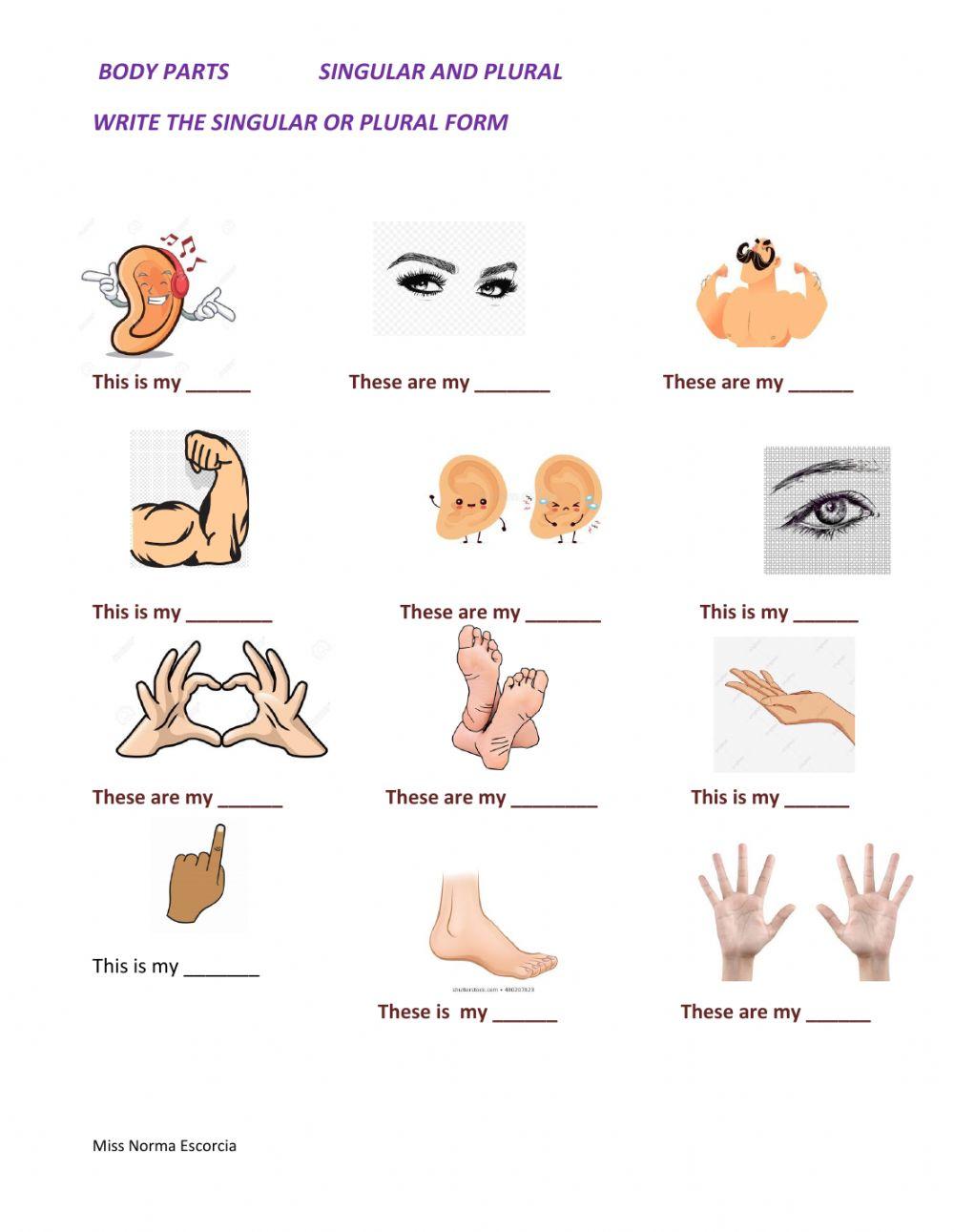 Body parts