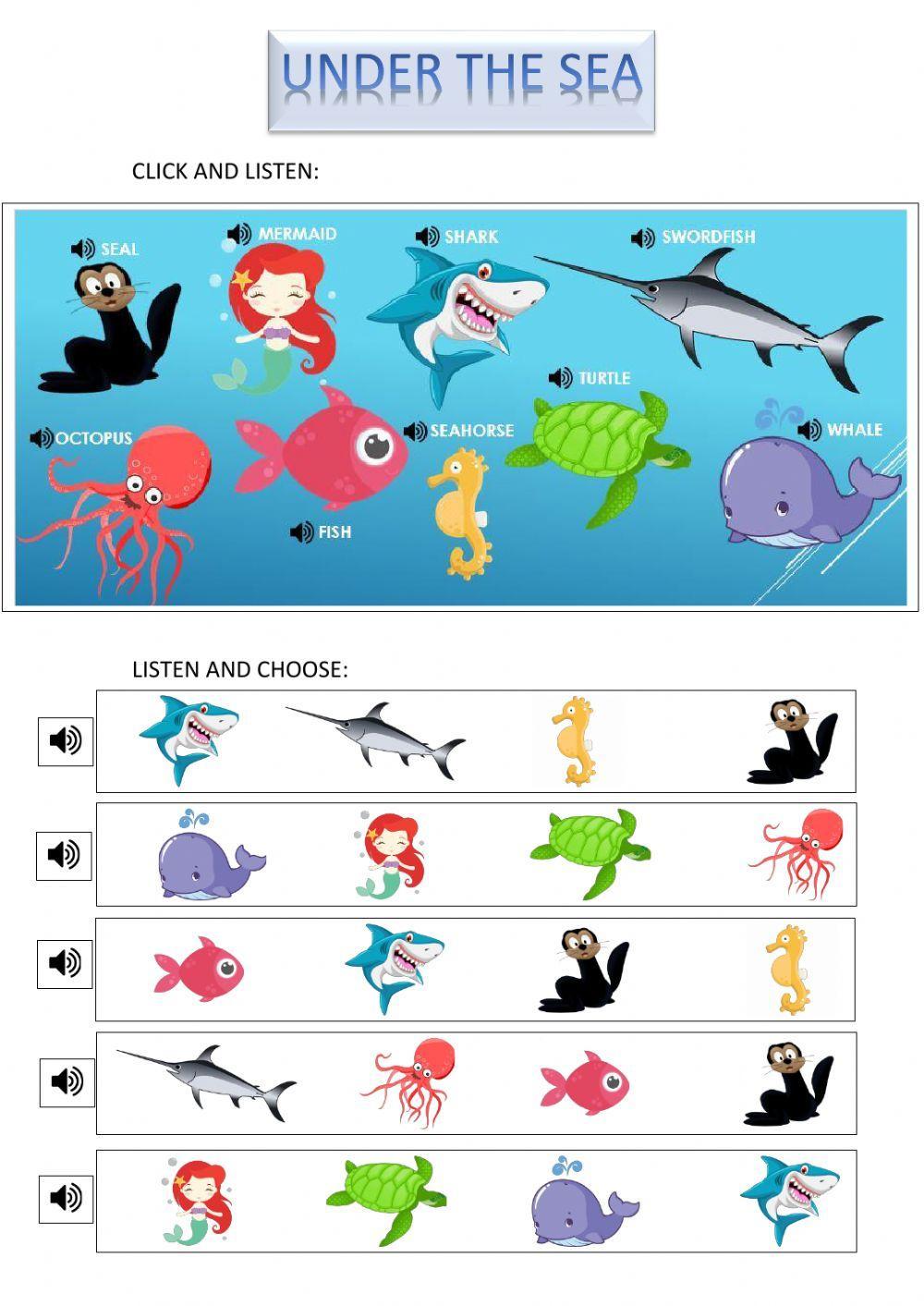 Under the sea Under the sea
