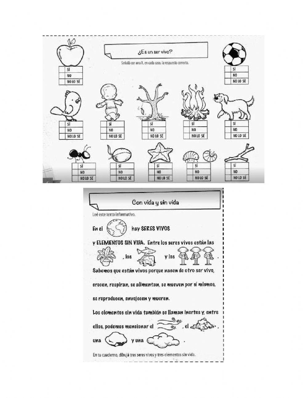 Seres vivos e inertes