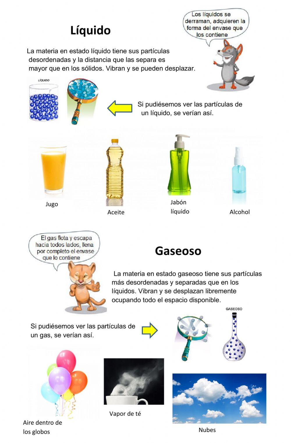 Ficha estados de la materia