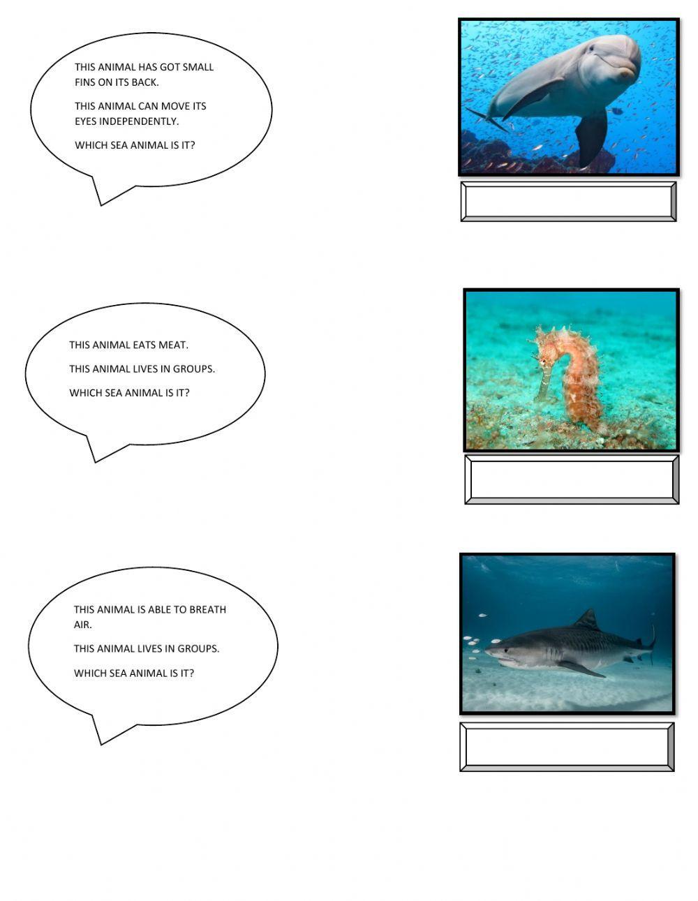 Sea animals riddles