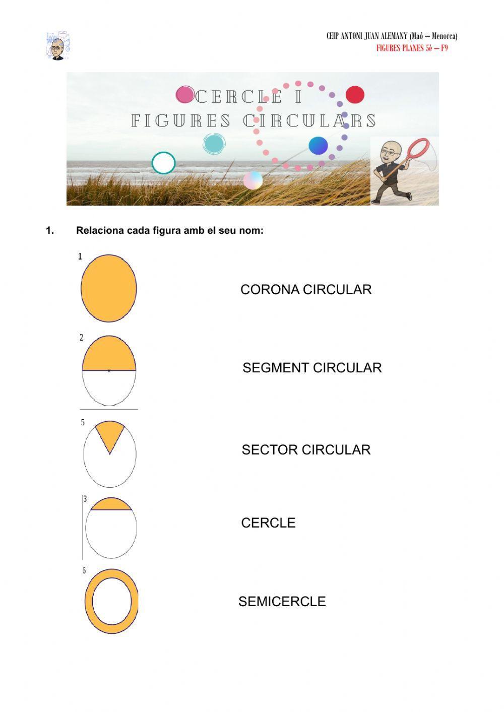 Cercle i figures circulars
