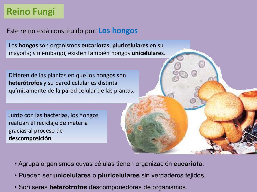 Reinos de la naturaleza