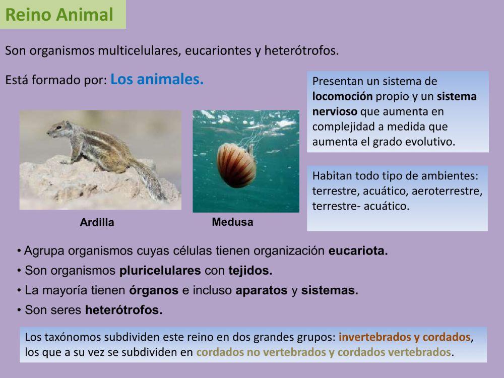 Reinos de la naturaleza