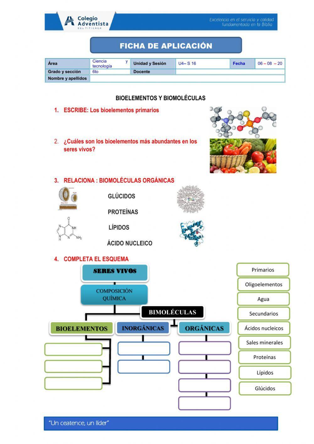 Bioelementos y biomoléculas