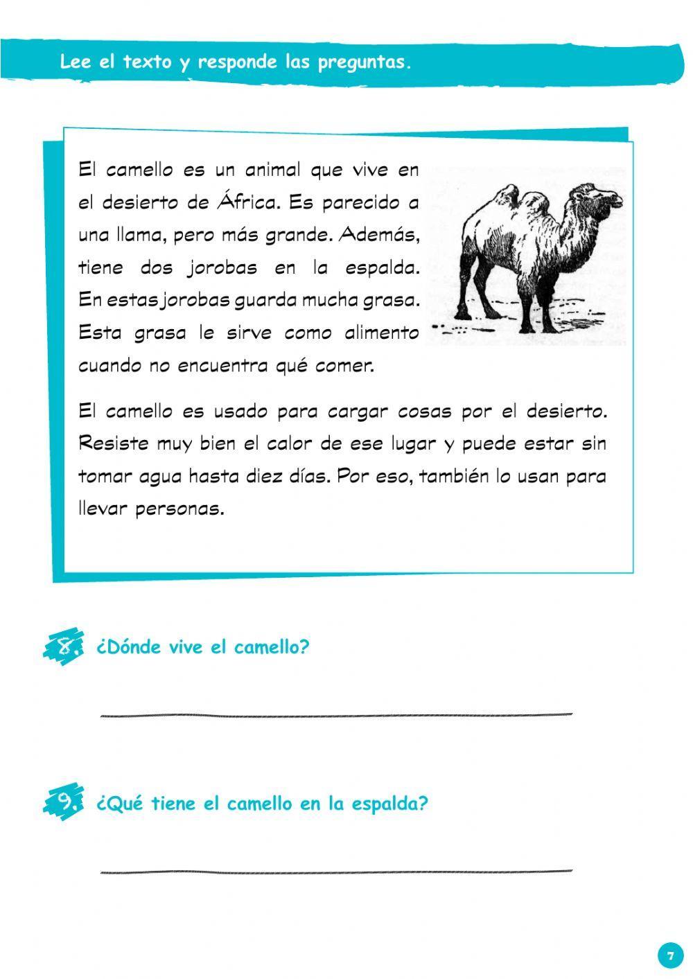 Comprensión de lectura